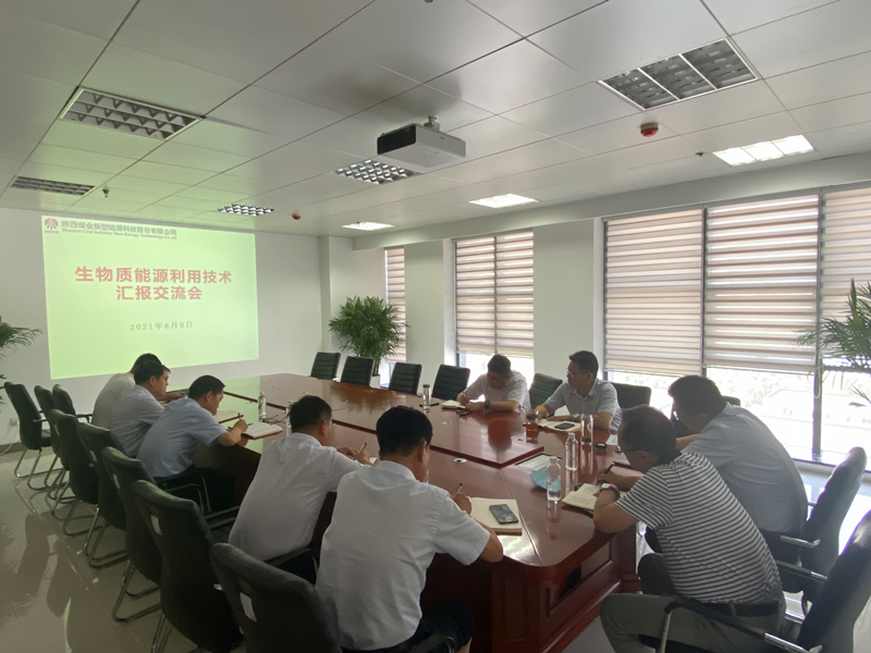 公司組織召開生物質(zhì)能源利用技術(shù)匯報交流會.png