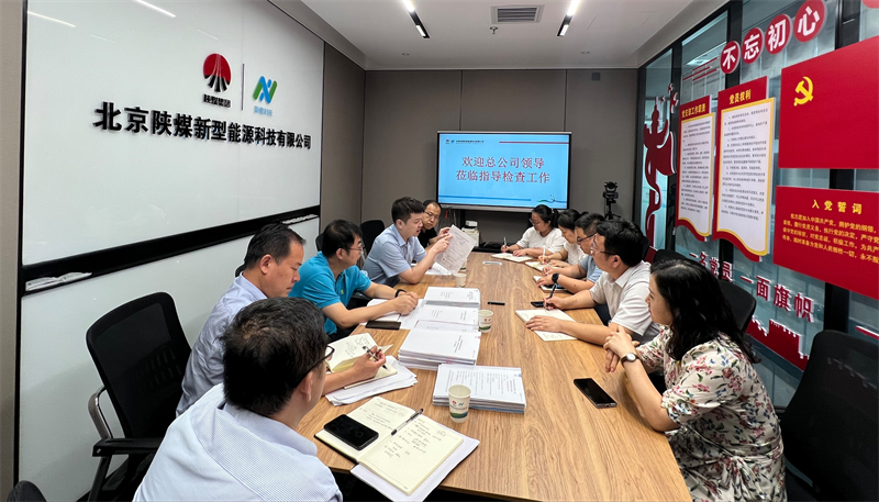 新型能源公司聯(lián)合檢查組對(duì)北京公司進(jìn)行綜合檢查-1.png