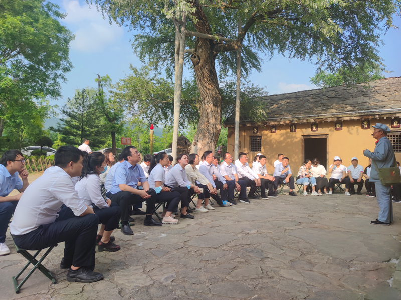 組織黨員干部到照金開展主題黨日活動(dòng).png