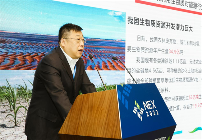 徐國強參加第十六屆中國新能源國際博覽會暨高峰論壇并作主題演講1.png