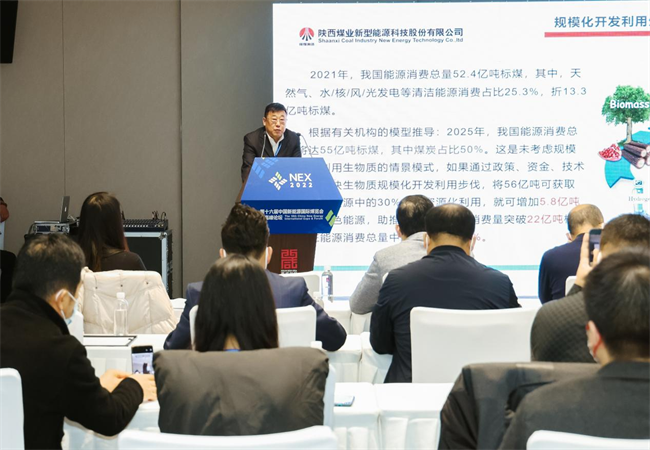徐國強參加第十六屆中國新能源國際博覽會暨高峰論壇并作主題演講2.png