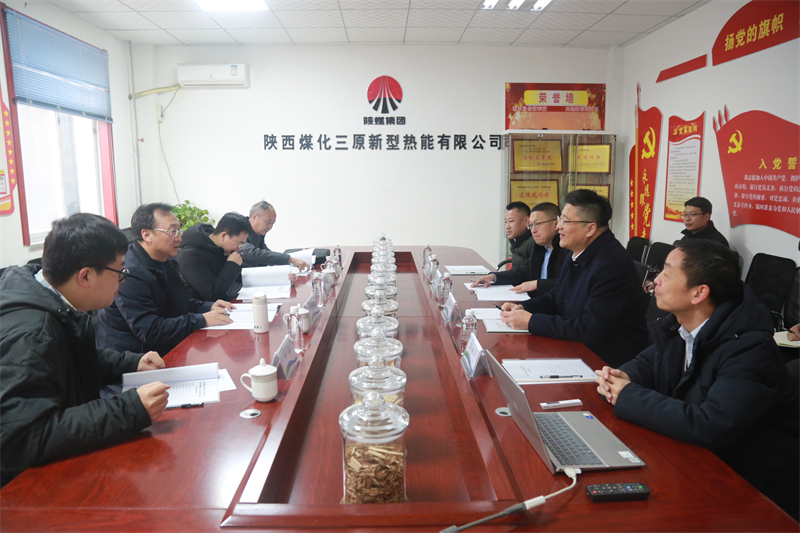 省國資委、省財政廳領導蒞臨新型能源三原公司調研指導工作.png