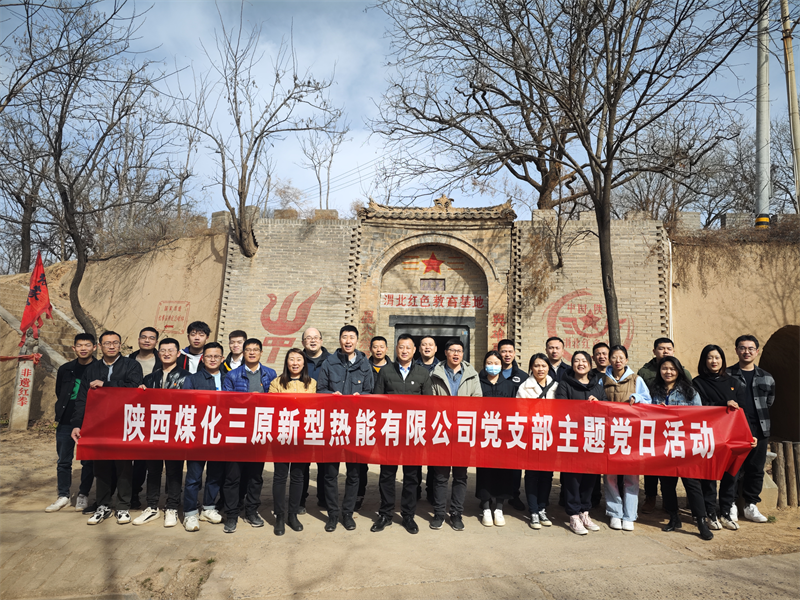 三原公司黨支部開展主題黨日活動(dòng)1.png