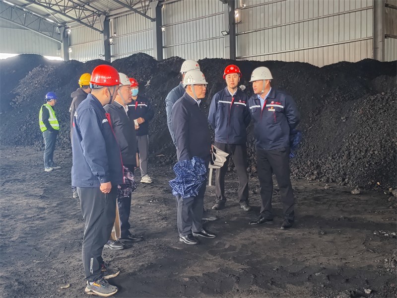 公司黨委副書記、總經(jīng)理徐國(guó)強(qiáng)一行到三原公司檢查指導(dǎo)工作.png