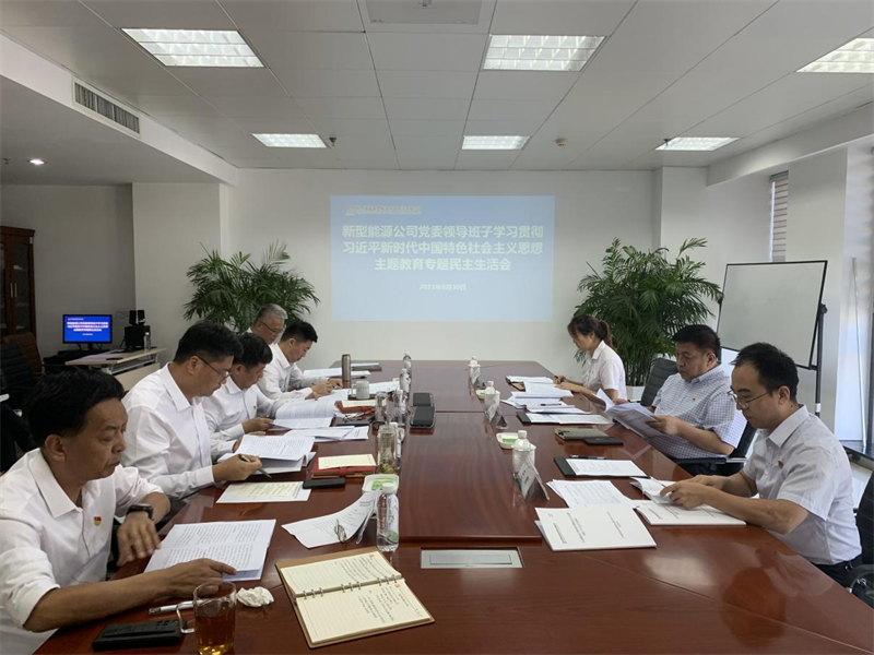新型能源公司黨委召開(kāi)學(xué)習(xí)貫徹習(xí)近平新時(shí)代中國(guó)特色社會(huì)主義思想主題教育專題民主生活會(huì)1.png